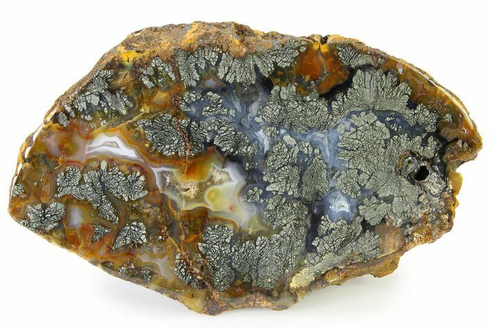 Colorful Polished Marcasite Agate Section - Indonesia #316103